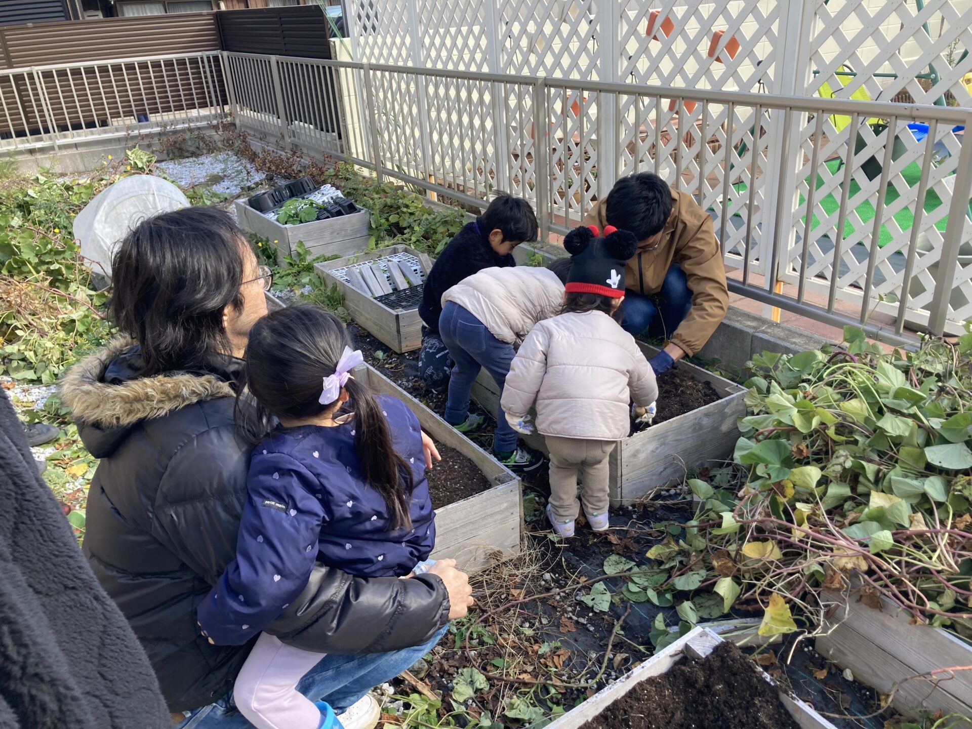 ほのぼのファーム🥕🍠🥬